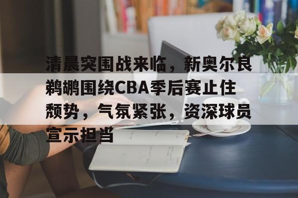 爱游戏-包含清晨突围战来临，新奥尔良鹈鹕围绕CBA季后赛止住颓势，气氛紧张，资深球员宣示担当的词条